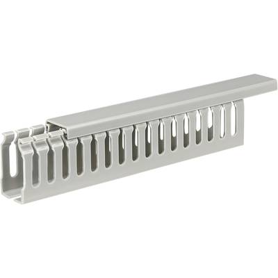 Sygonix SY-5045596 Verdrahtungskanal (L x B x H) 2000 x 25 x 45 mm 1 St. Grau