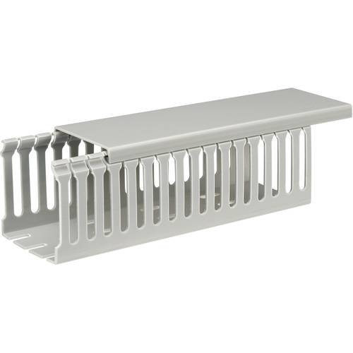 Sygonix SY-5045594 Verdrahtungskanal (L x B x H) 2000 x 65 x 65 mm 1 St. Grau