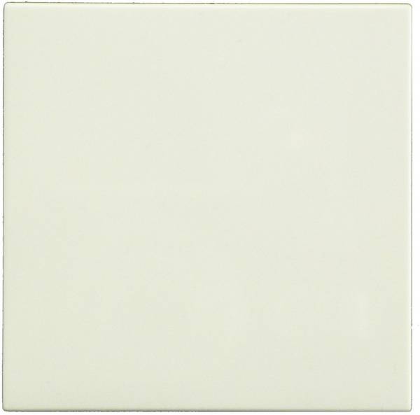 Gira Bedienelement 1f rws m.Abd glz System 55 231603 f.Dimmeins