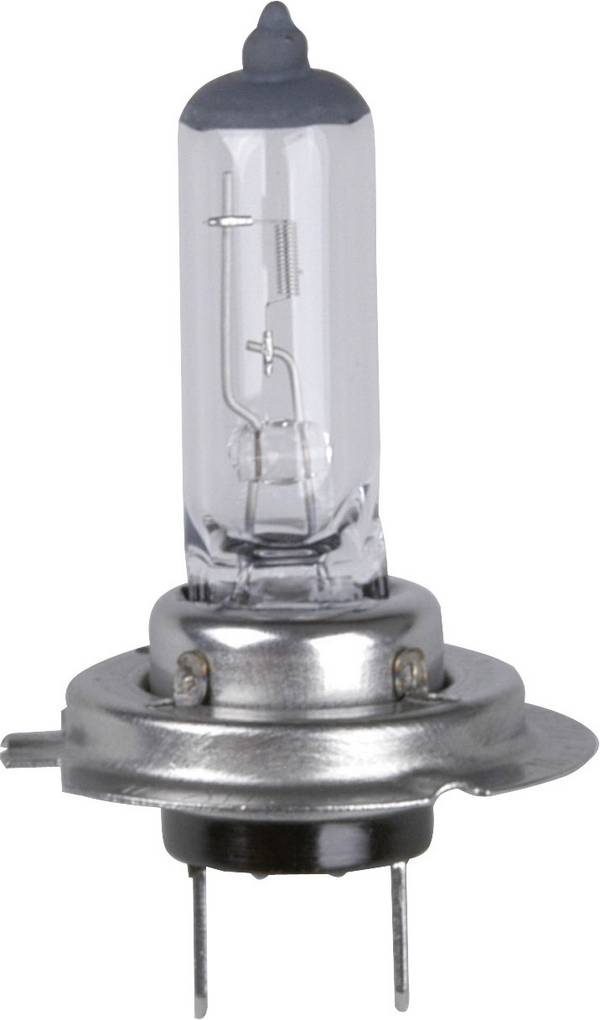 cartrend KFZ-Lampe H7 für Hauptscheinwerfer, 12 V, 55 Watt