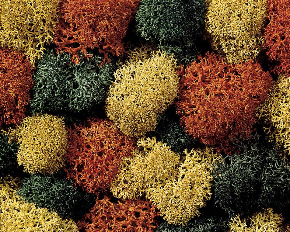 Matériel de décoration →