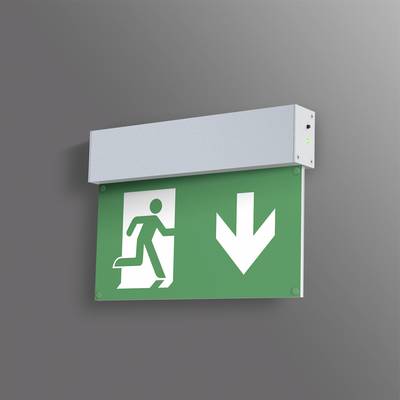 Grünes Notausgangsschild mit Piktogramm einer rennenden Person und einem Pfeil nach unten, auf grauer Wand angebracht.