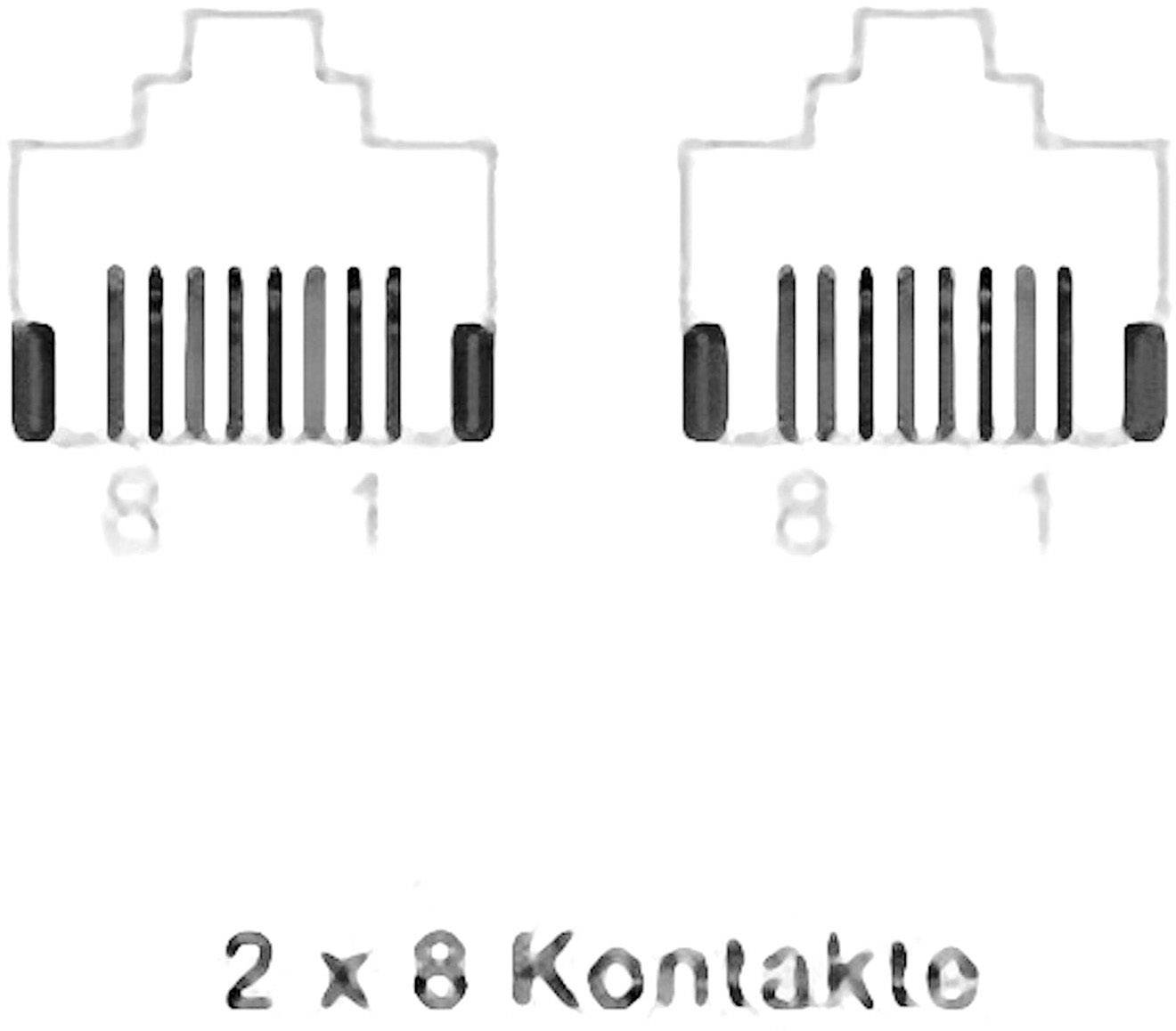 'Abbildung zeigt zwei RJ45-Stecker mit jeweils 8 Kontakten. Text darunter: 2 x 8 Kontakte.'