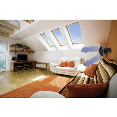 Ein Wohnzimmer mit Sofa und Lampe. Helle Holzböden und Decke mit Dachfenstern. Blauer Himmel und Bäume durch die Fenster sichtbar.