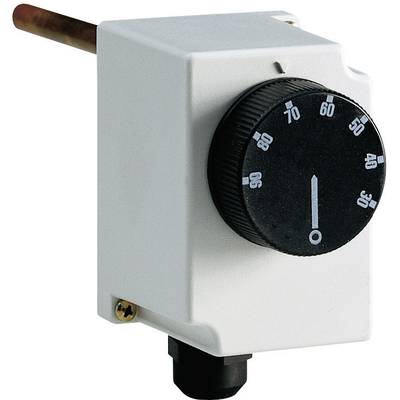 Ein weißer Thermostat mit einem schwarzen Drehregler, der Temperaturen von 30 bis 90 Grad Celsius anzeigt. Der Zeiger zeigt auf 60 Grad.