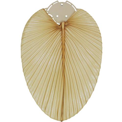 Thumbnail - CasaFan Deckenventilator-Flügelsatz 132 PALME NATUR Deckenventilator-Flügelsatz Flügeldekor: Palme (natur)