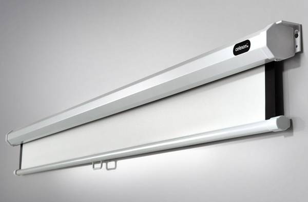 celexon Leinwand Rollo Economy 180 x 180 cm - 100"