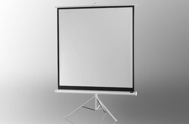 celexon Stativleinwand Economy 244 x 244 cm - White Edition