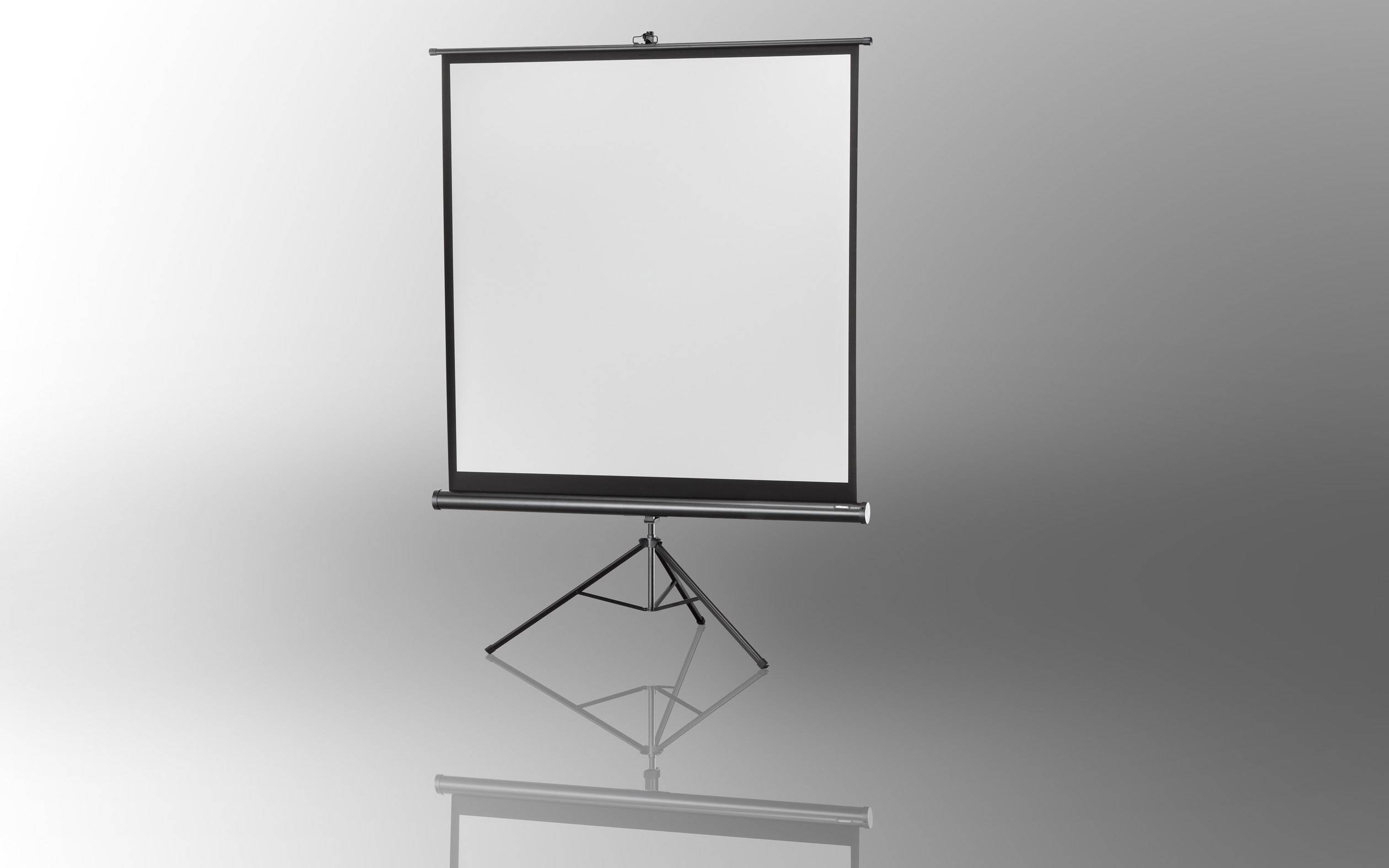 celexon Stativleinwand Economy 184 x 184 cm