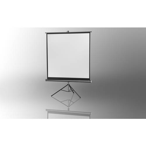 Thumbnail - celexon Stativleinwand Economy 184 x 184 cm