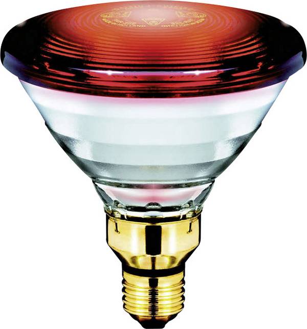 Philips Infrarotlampe E27 150 W (Ø x L) 121 mm x 136 mm 230 V 1 St.