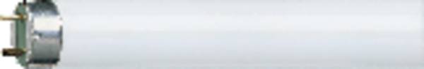 OSRAM LAMPE Lumilux-Lampe L 58/865