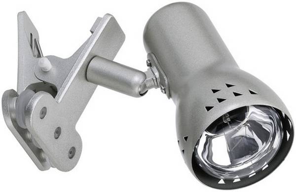 Paulmann Gryps 99825 Klemmleuchte Energiesparlampe E14  40 W Eisen