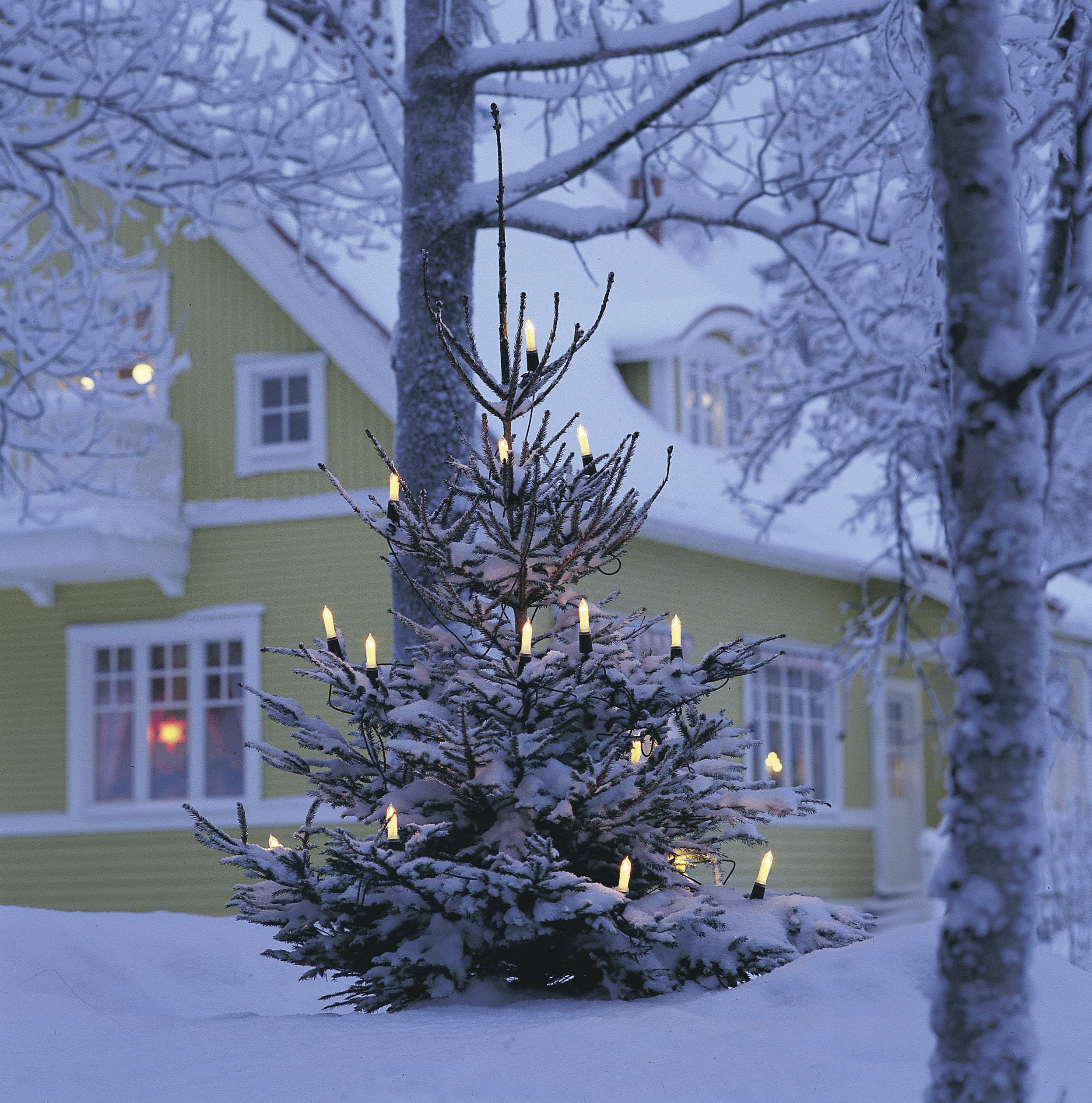 KONSTSMIDE Weihnachtsbaum-Beleuchtung Außen netzbetrieben 16 Glühlampe Warm-Weiß Beleuchtete Länge:
