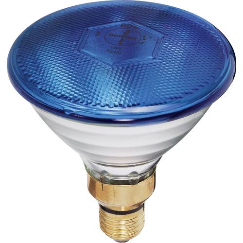 Eurolite Par-38 FL blau Halogen Lichteffekt Leuchtmittel 230 V E27 80 W Blau dimmbar