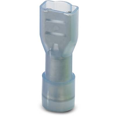 Ein blauer, isolierter Kabelstecker mit weiblichem Schnellverschluss für elektrische Verbindungen. Geeignet für Kabelenden.