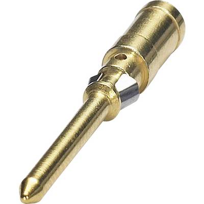 Ein goldfarbener elektrischer Steckverbinderstift, der in elektronischen Geräten zur Signalübertragung verwendet wird.