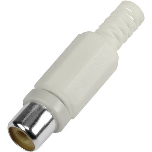 BKL Electronic 1108014 Cinch-Steckverbinder Buchse, gerade Polzahl: 2 Weiß 1 St.
