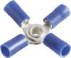 Vogt Verbindungstechnik 3631a4 Quetschverteiler Querschnitt (max.)=2.50 mm² Loch-Ø=4 mm Teilisoliert Blau 1 St.