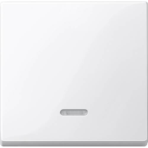 Merten Abdeckung Kontrollschalter System M, 1-M, M-Smart, M-Plan, M-Creativ Polarweiß glänzend 436019 1 St.