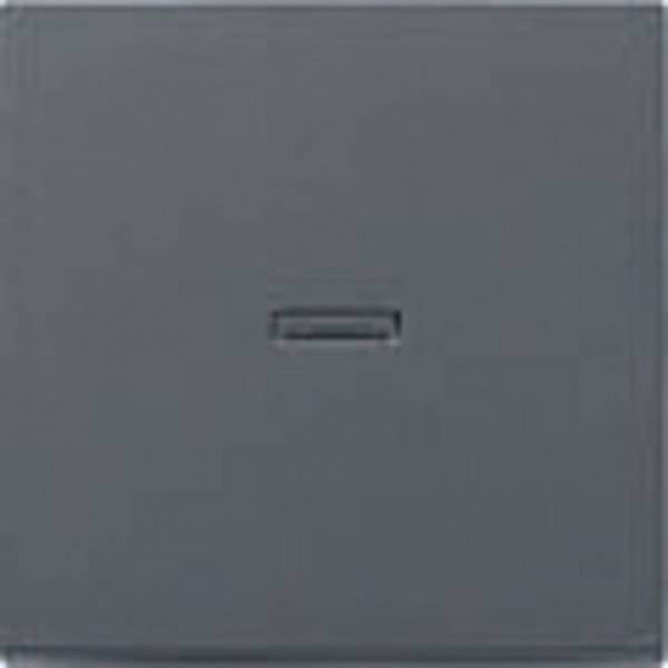 GIRA  Abdeckung Kontrollschalter System 55, Standard 55, E2, Event, Event Klar, Event Opak, Esprit, ClassiX Anthrazit 029028 1 St.