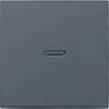 GIRA Abdeckung Kontrollschalter System 55, Standard 55, E2, Event, Event Klar, Event Opak, Esprit, ClassiX Anthrazit 029028 1 St.