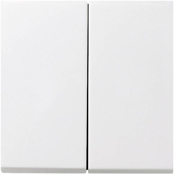 Wippe 2f Flächenschalter    0295112 Reinweiß