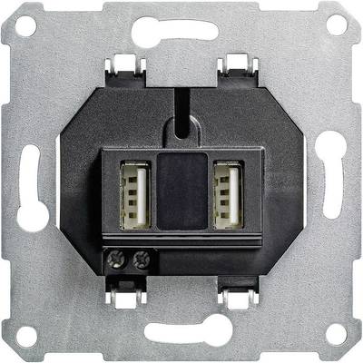GIRA Einsatz USB-Steckdose Standard 55, E2, Event Klar, Event, Event Opak, Esprit, ClassiX, System 55 235900 GIRA Einsatz USB-Steckdose Standard 55, E2, Event Klar, Event, Event Opak, Esprit, ClassiX, System 55 235900