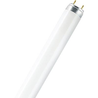 OSRAM Leuchtstoffröhre EEK: G (A - G) G13 15 W Warmweiß  Röhrenform (Ø x L) 26 mm x 451.6 mm  1 St.