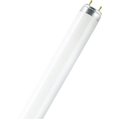 OSRAM Leuchtstoffröhre EEK: G (A - G) G13 18 W Warmweiß  Röhrenform (Ø x L) 26 mm x 604 mm  1 St.