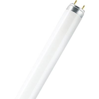 OSRAM Leuchtstoffröhre EEK: G (A - G) G13 36 W Warmweiß  Röhrenform (Ø x L) 26 mm x 1213.6 mm  1 St.