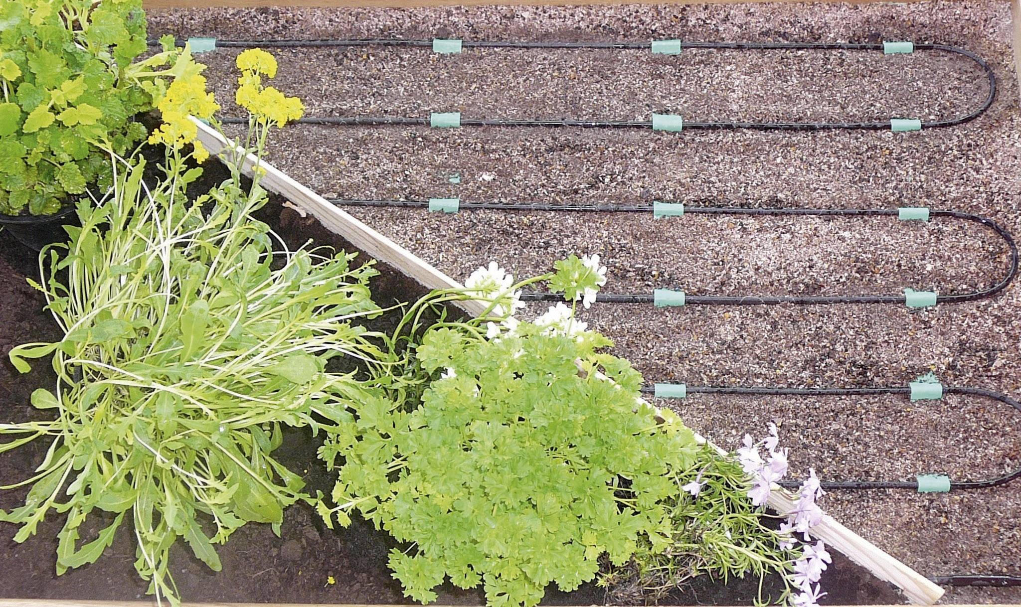 Hochbeet mit Kräutern und Blumen, daneben ein Bewässerungssystem mit Schläuchen auf Erde, zeigt Gartenpflege und Effizienz.