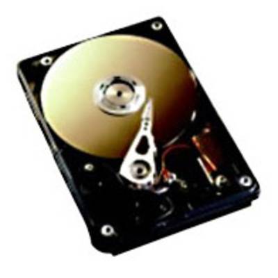 Fujitsu  300 GB  Interne Festplatte 8.9 cm (3.5 Zoll) SAS S26361-F3204-L530 