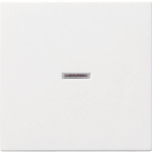 GIRA Abdeckung Kontrollschalter System 55, Standard 55, E2, Event, Event Klar, Event Opak, Esprit, ClassiX Reinweiß, Mat...