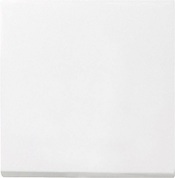 Gira Wippe Wechselsch. rws-gl 029603