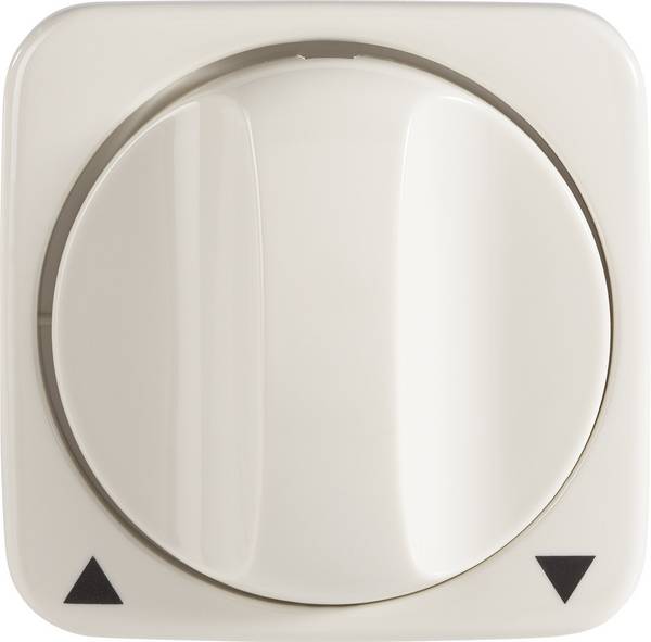 BUSCH ABD.JALOUSIESCHALTER WEISS 2CKA001753A0599
