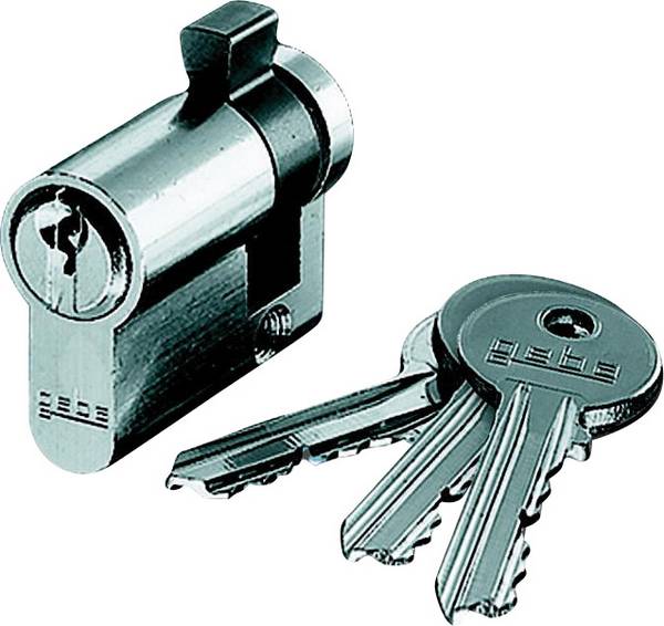 Busch-Jaeger  Zubehör Schlüsselschalter  Duro 2000 SI Linear, Duro 2000 SI, Reflex SI Linear, Reflex SI, Solo, Alpha Nea, Alpha exclusiv, Future Linear, Impuls, Pur Edelstahl, Carat, Axcent Mehrfarbig 2CKA000470A0021  1 St.