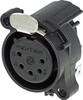 Neutrik NC5FAH XLR-Steckverbinder Flanschbuchse, Kontakte gewinkelt Polzahl: 5 Schwarz 1 St.