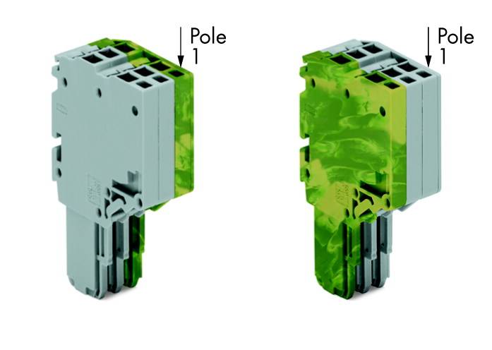 WAGO 2020-203/000-036 Federleiste Grau, Grün, Gelb 50 St.
