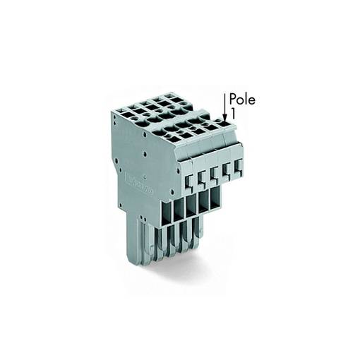 WAGO 769-125 Federleiste 5 mm Zugfeder Belegung: L Grau 20 St.