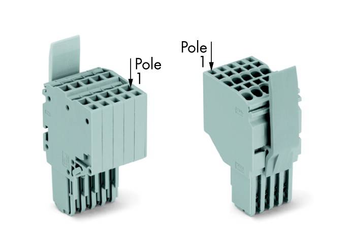 WAGO 2020-202/122-000 Federleiste Grau 100 St.