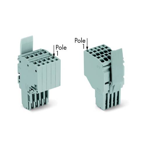 WAGO 2020-202/122-000 Federleiste Grau 100 St.