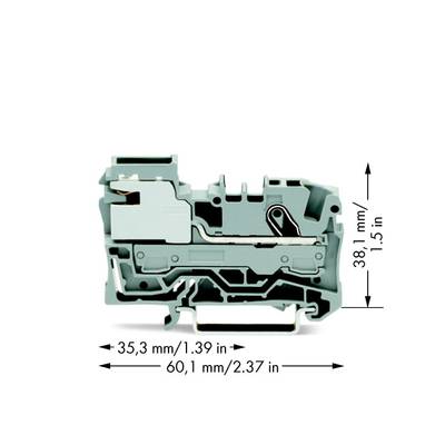WAGO 2006-7111 Potenzialklemme 7.50 mm Zugfeder  Grau 50 St. 