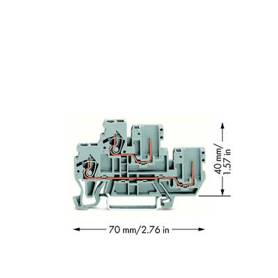 WAGO 870-101 Doppelstock-Basisklemme 5 mm Zugfeder Belegung: L Grau 50 St. 