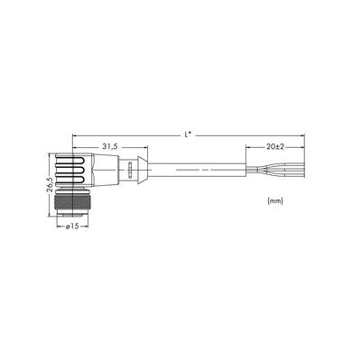 WAGO 756-5302/040-050 Sensor-/Aktor-Steckverbinder, konfektioniert M12 Buchse, gewinkelt 5.00 m  10 St. 