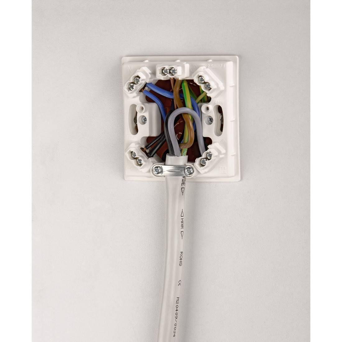 Elektrische Anschlussdose mit geöffnetem Deckel zeigt farbige Drähte und eine Klemme.