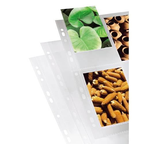 hama 00009777 Foto-Hüllen, DIN A4, 4-8 Fotos im Format 10x15 cm, klar, 10 Stück