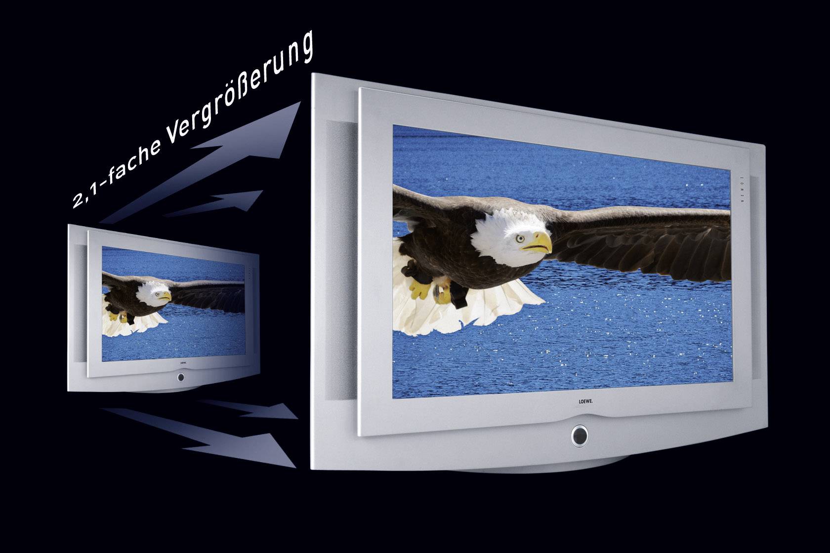Ein Bildschirm zeigt einen fliegenden Adler über blauem Wasser. Daneben steht '2,1-fache Vergrößerung', um die Bildvergrößerung zu verdeutlichen.