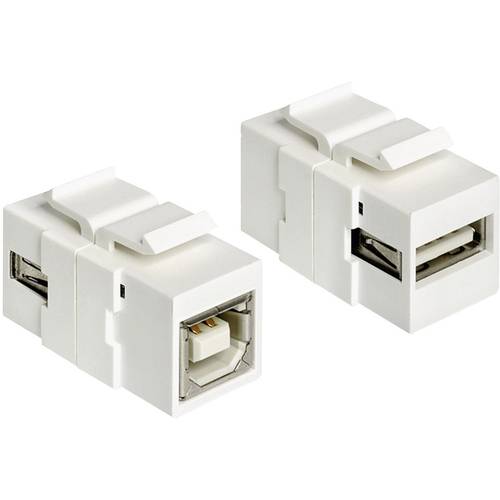 Thumbnail - Delock - Modularer Einschub (Kopplung) - USB-Typ B
