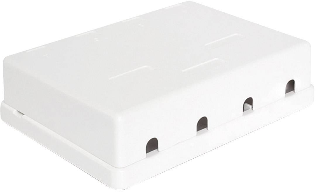 Delock Keystone Surface Mounted Box - Gehäuse mit modularen Einsätzen-1
